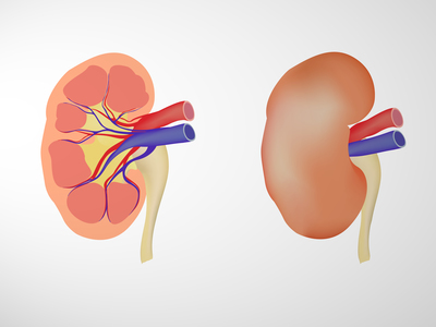 pedro sanchez nutriologo especialista en insuficiencia renal mexicali